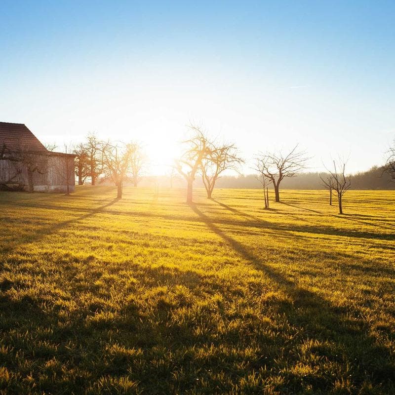 Golden Hour